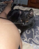 Анкета проститутки Роза - метро Хамовники, возраст - 23